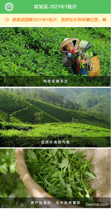 茶叶溯源