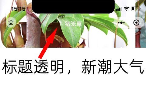 小程序标题栏透明设置和固定顶部有什么区别